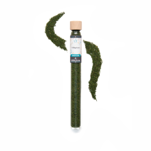 Dillspitzen im Reagenzglas